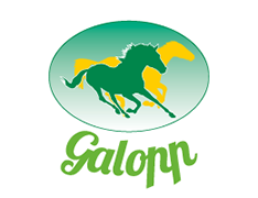 Galopp Pferdefutter 